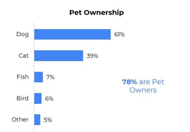 new mover marketing veterinarians