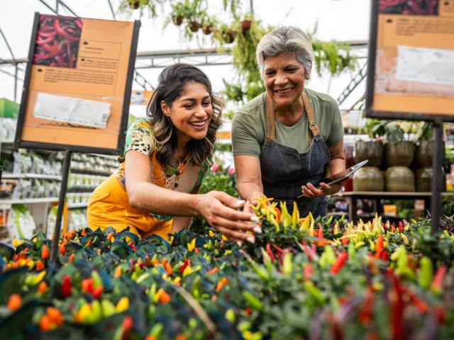 How a Garden Center Found Big ROI with New Mover Campaigns
